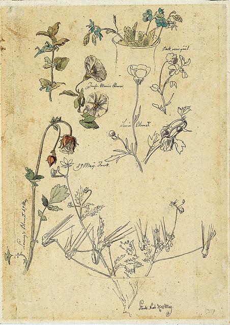J. Th. Lundbye did more than draw in this sketchbook from 1840; he also wrote down notes on specific details so that he would remember everything back home in the studio.
